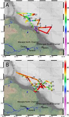 Bacterial Biogeography across the Amazon River-Ocean Continuum